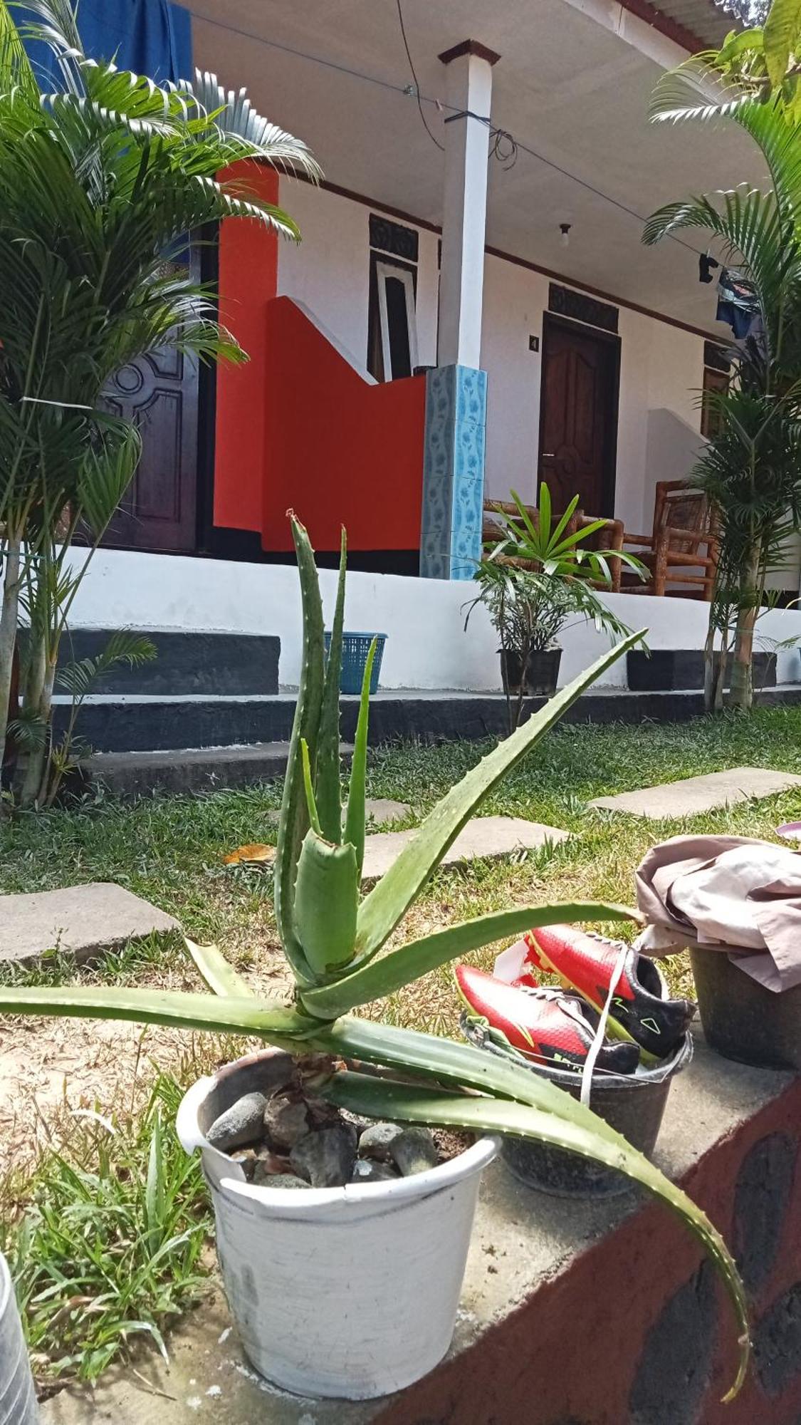 Roy Homestay Kuta Kuta  Екстер'єр фото